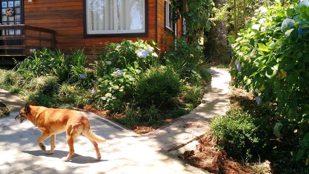 Villa Sobrado Estilo Alemao Canela Exterior foto